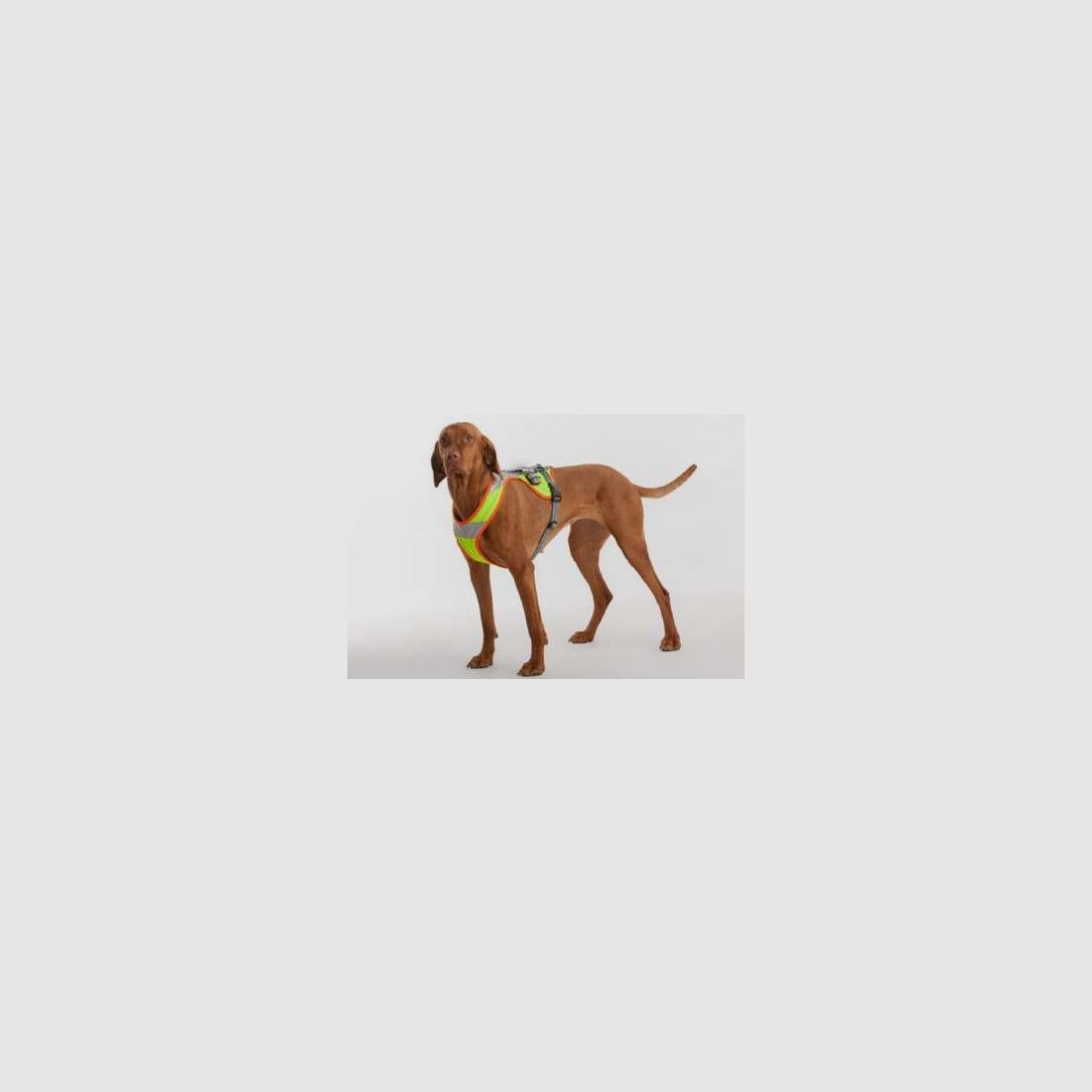 Fischietto per cani Combo 9 cm, immagine 2 di 3