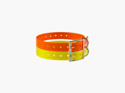 Collier pour chien polyuréthane