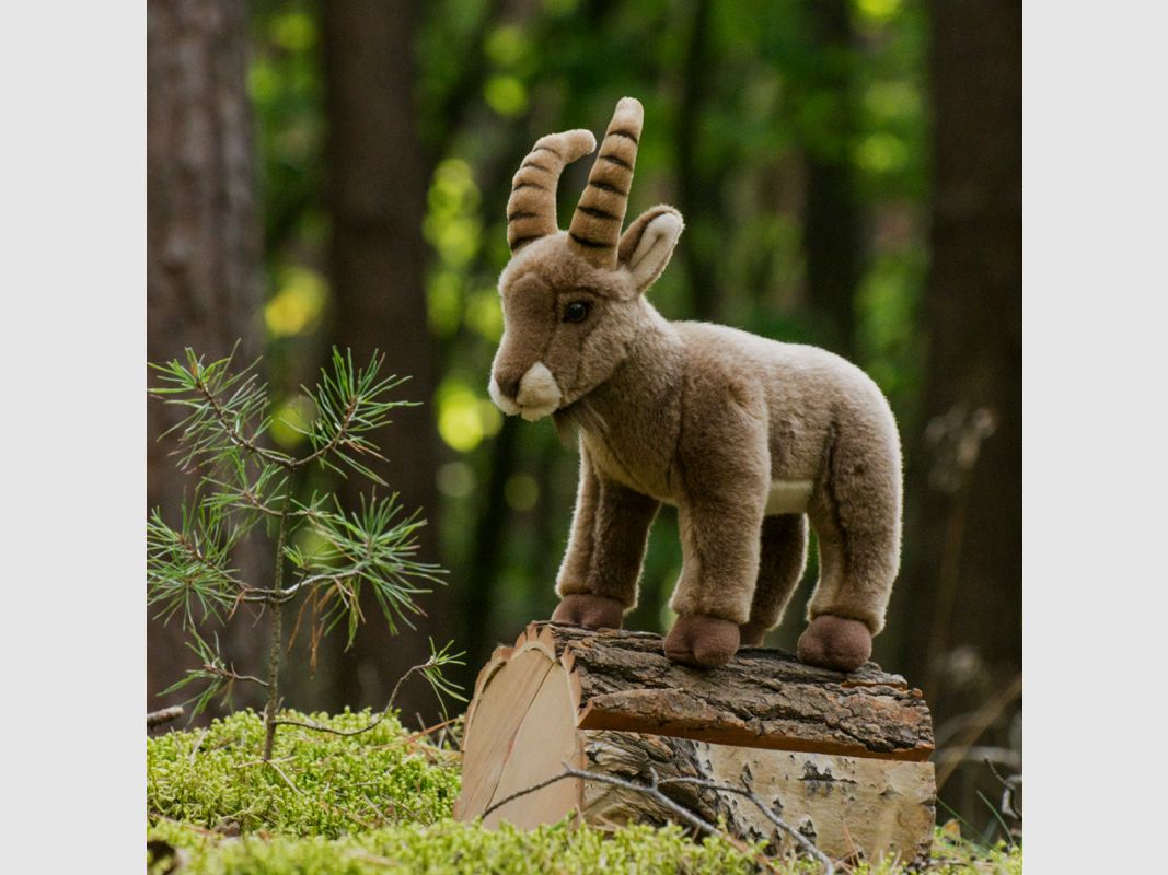 Kuscheltier Steinbock