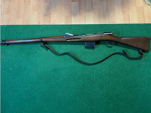 Schmidt-Rubin 1889