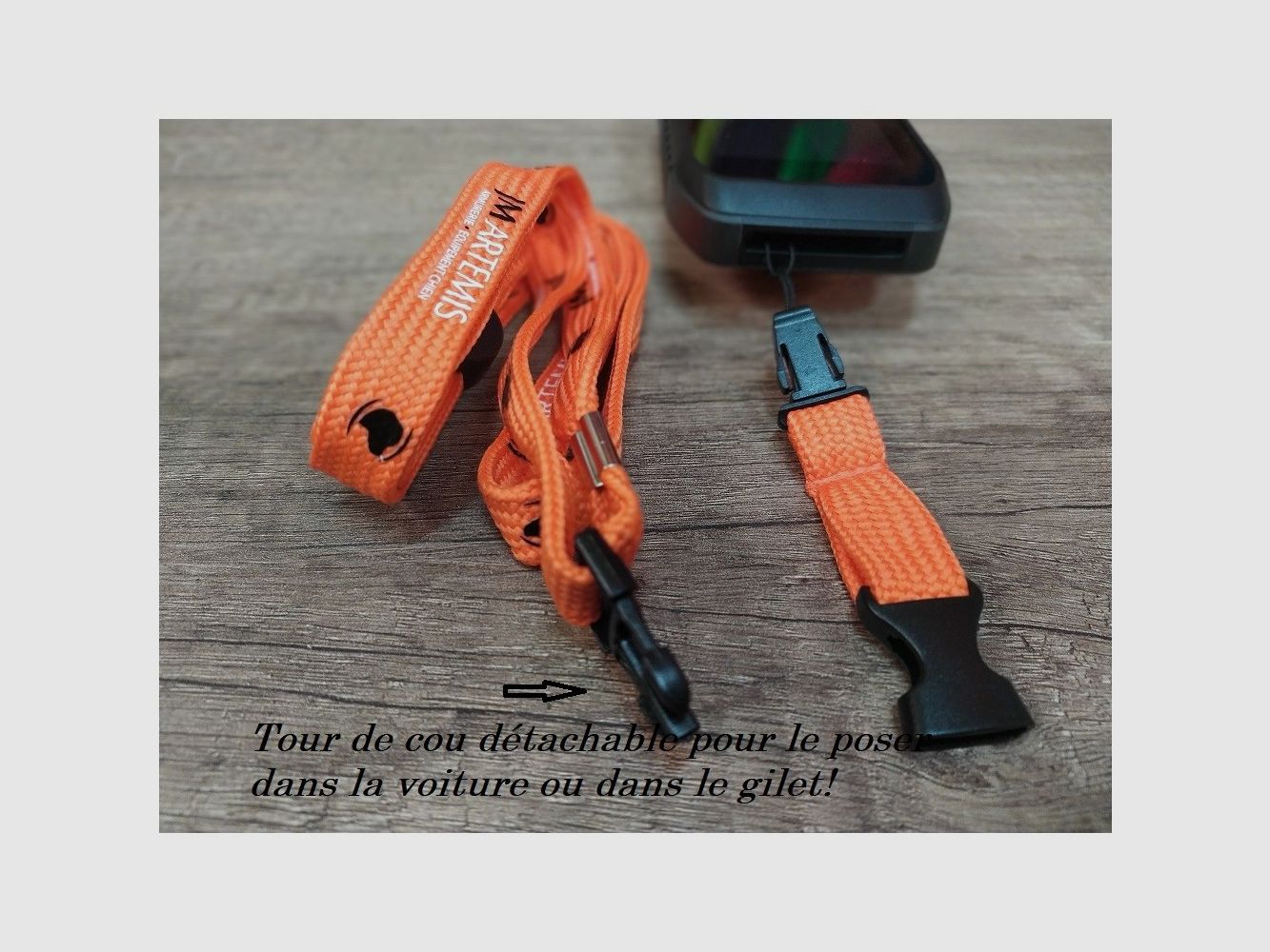 Pack Terrain Garmin Alpha 200 Plus + TT25F – Preparato da JMARTEMIS, immagine 13 di 60