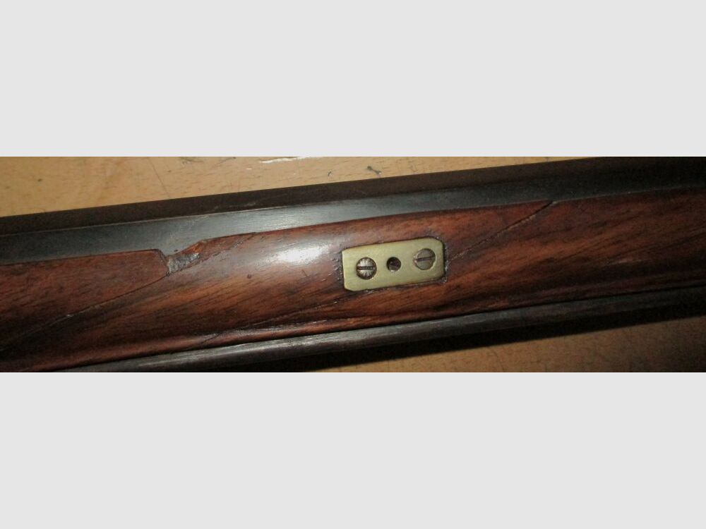 Peter Volkmann Vienna