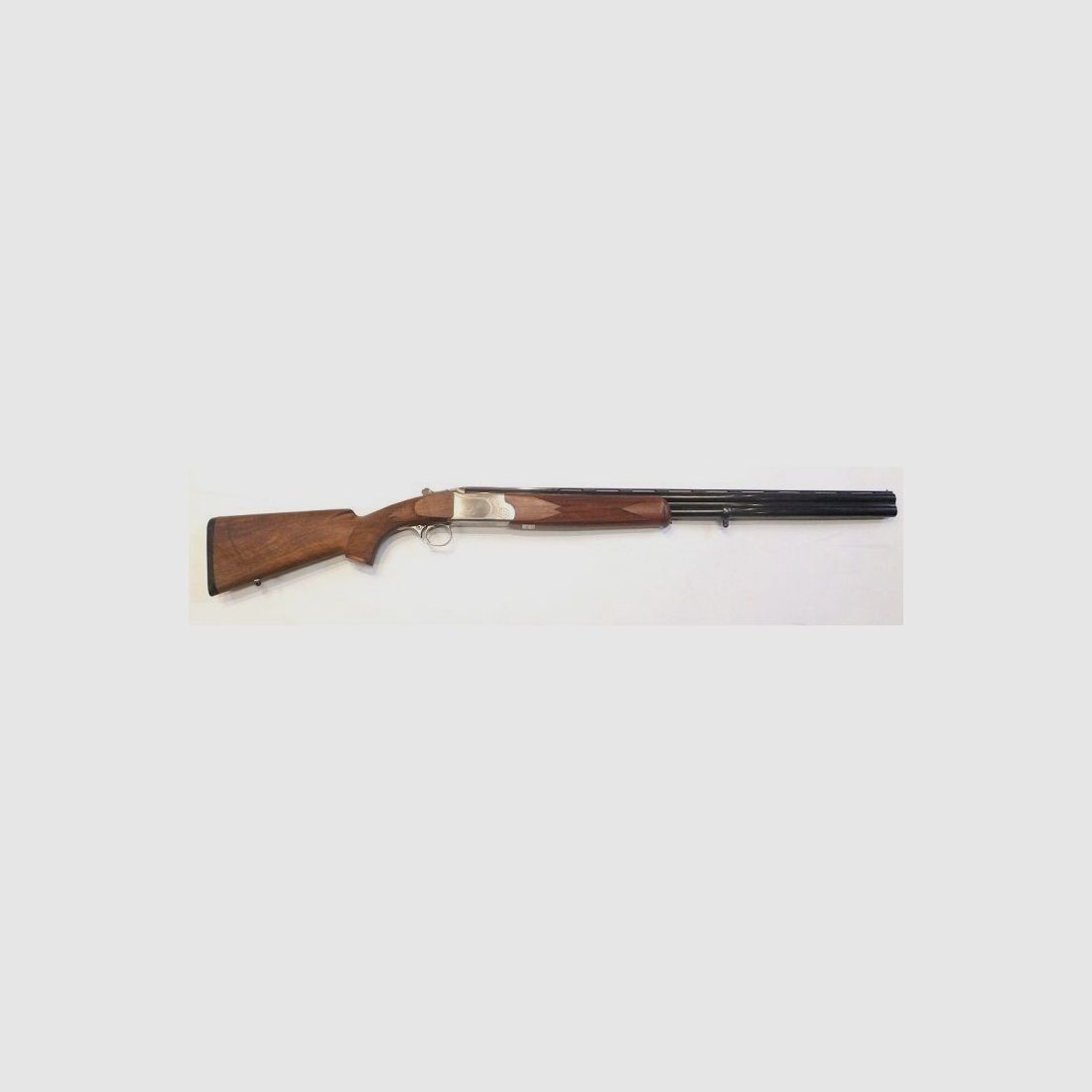 Rottweil Gebrauchtwaffe Paragon