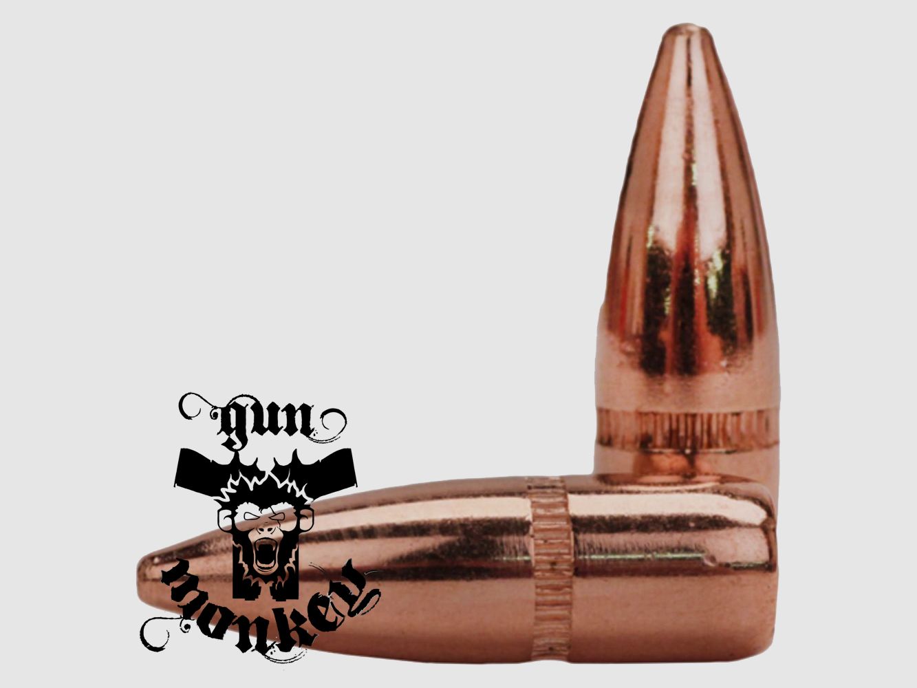 Balles Hornady .22 FMJ-BT 55gr .224 (2267B1)