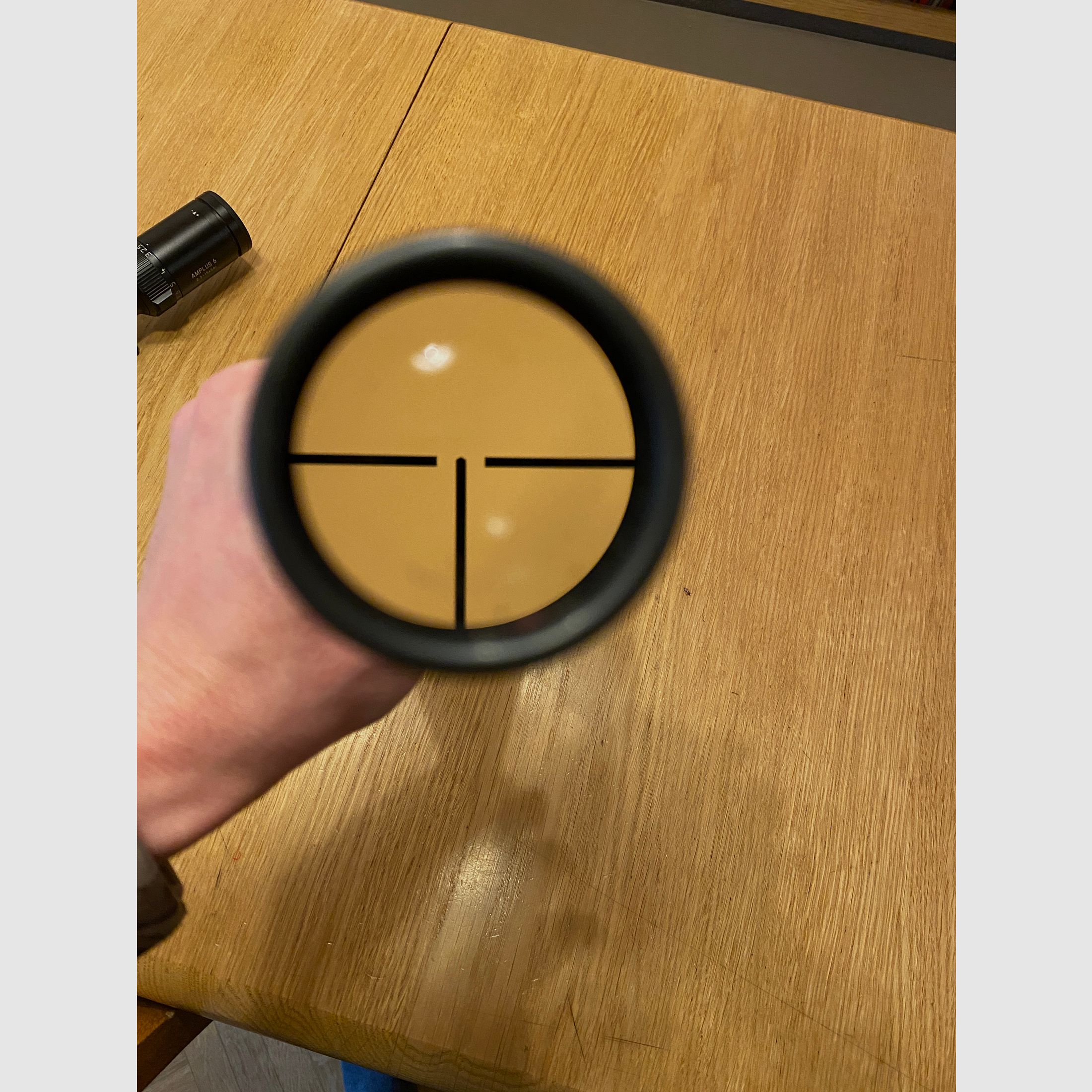 Zeiss Diatal Z 8x56 T with Steyr swivel mount