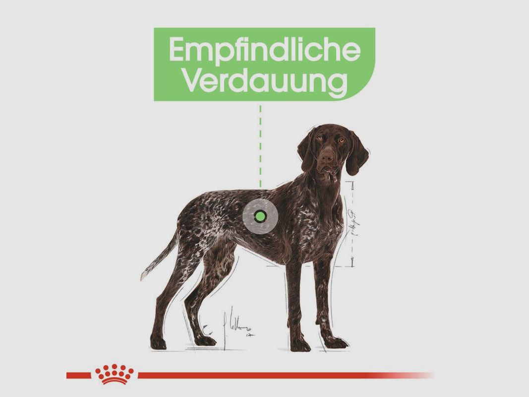 ROYAL CANIN Große Hunde Trockenfutter Digestive Care Maxi für empfindliche Verdauung 12 Kg