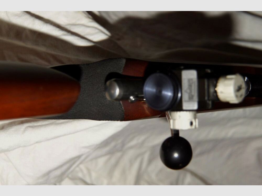 Anschütz 1903 .22lr