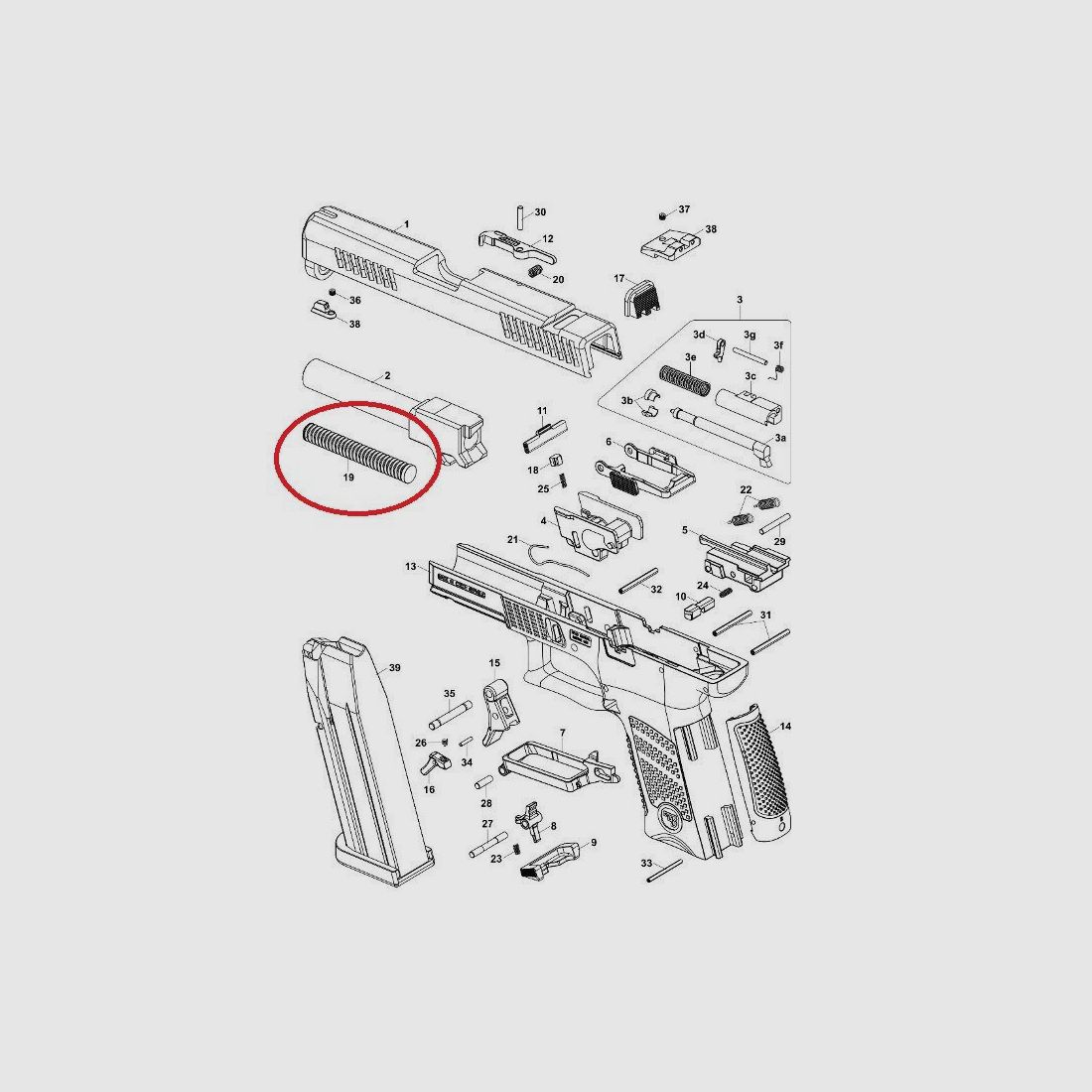 Ressort de verrouillage CZ P10-C #19