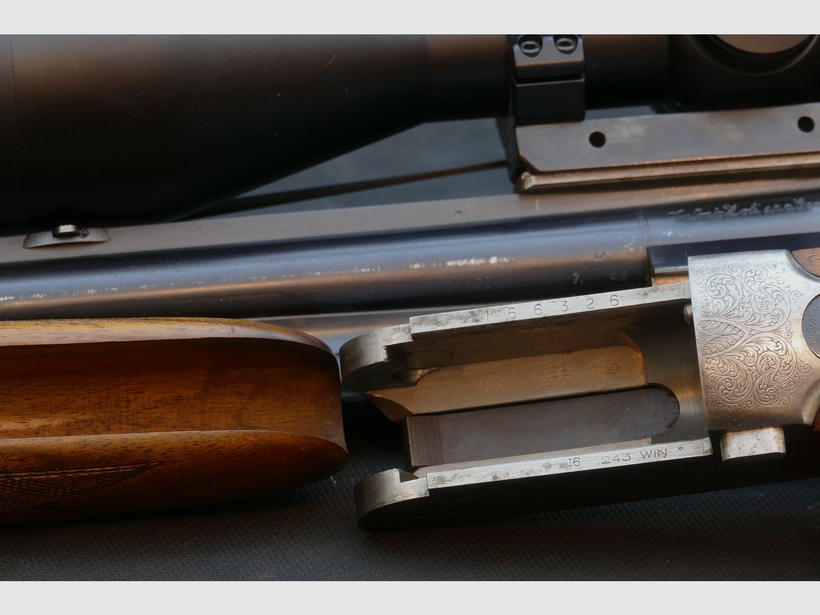 Antonio Zoli BBF en .243Win y 16/70