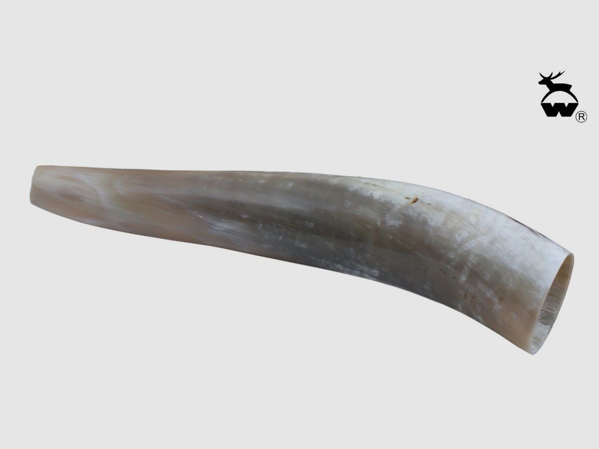 Weisskirchen Ochsenhorn für Hirschruf