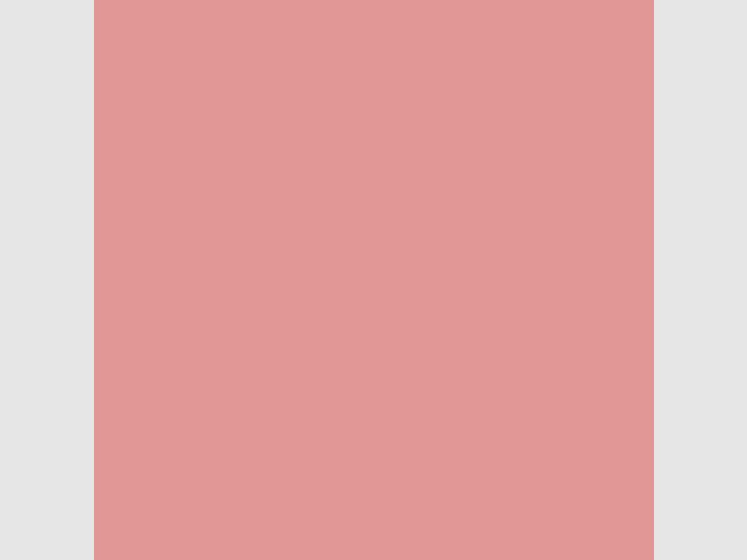 BRESSER SBP12 Papierhintergrund 2,00 x 11m Rosa, Bild 2 von 7