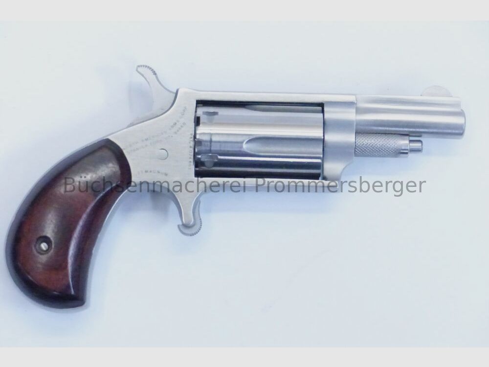 General NAA Revolver .22WinMag