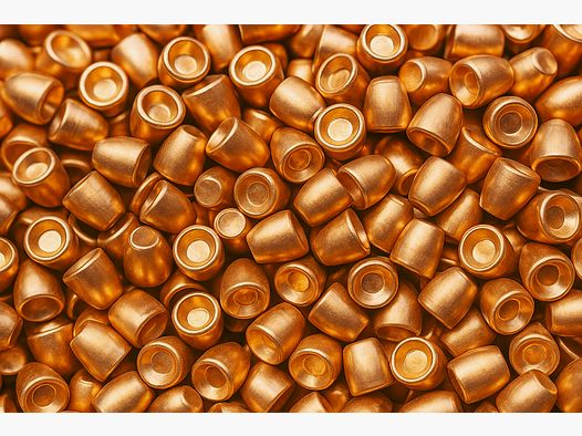 AEA Megalodon Challenger projectiles slugs cal. 495 / .50