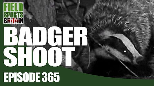 Fieldsports Britain - Badger Shoot