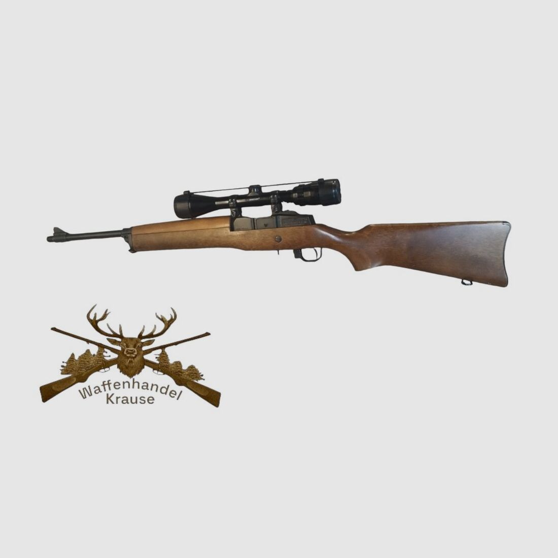 Ruger Mini 30