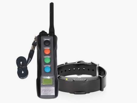 Dogtra Edge