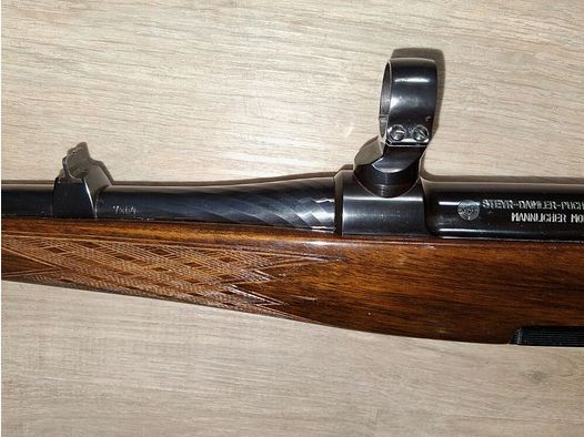Steyr M