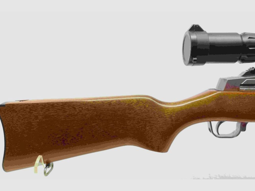 Ruger Ranch Rifle Mini 14