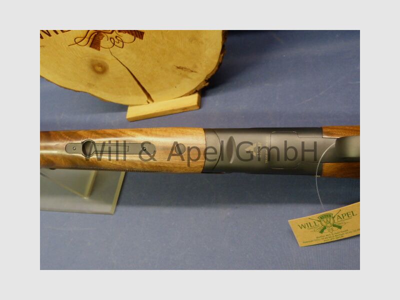 Akkar Churchill Lady Black