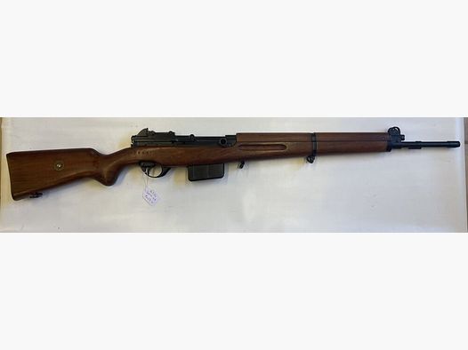SAFN 49