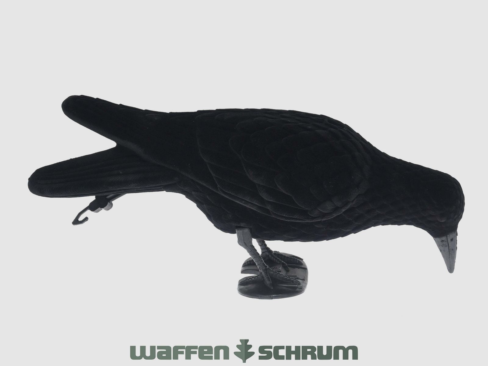 Vollkörper-Lockkrähe beflockt Pickende