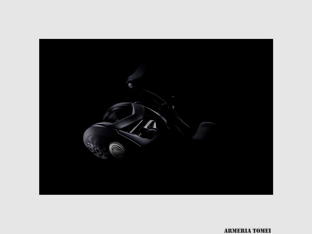 MOULINET – DAIWA – 22 TATULA TW 80HL, image 2 sur 6
