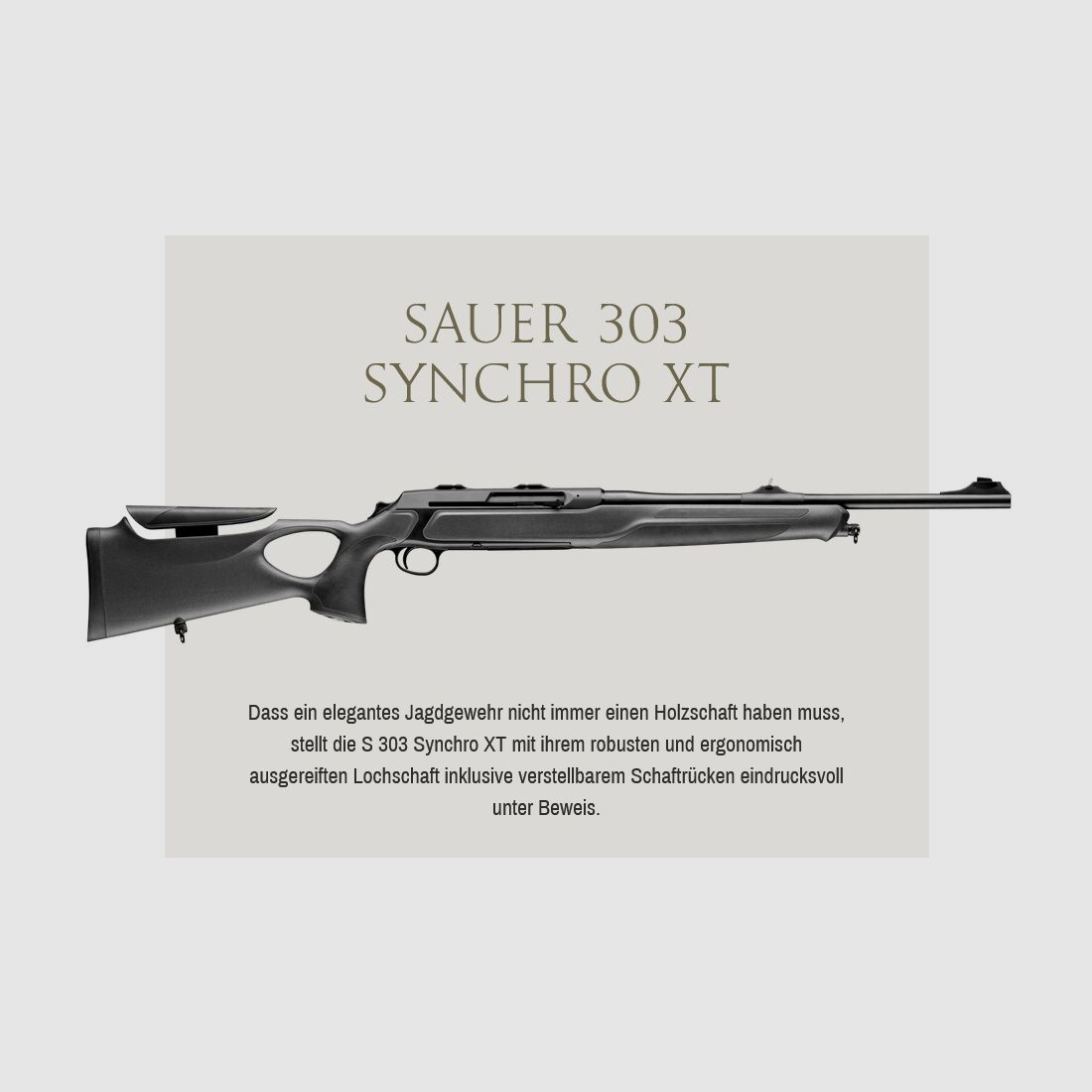 J.P. Sauer & Sohn SAUER S303 SYNCHRO XT Gen II + Optima Flow silencer
