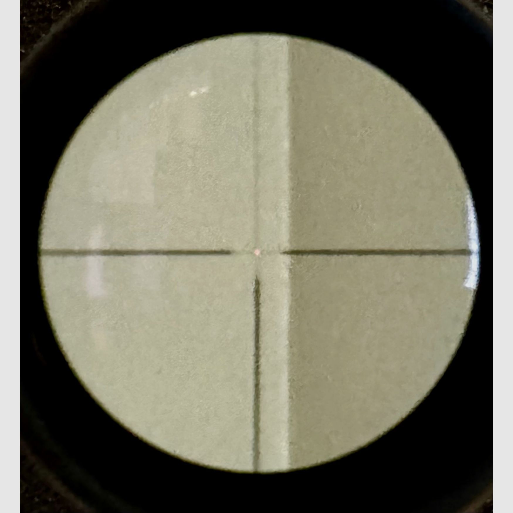 ZEISS Victory Diavari 3-12x56 T* con reticolo luminoso digitale 66