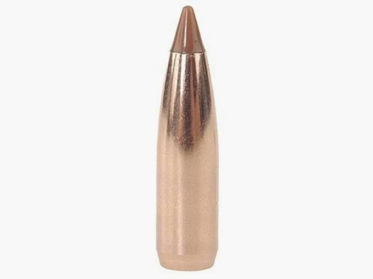 Proiettile Nosler Ballistic Tip Hunting 6,5mm/.264 100GR Spitzer 50 pezzi