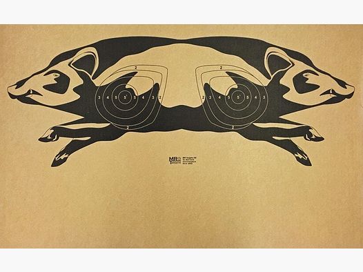 Bild Wildschwein für Moving Range 2022