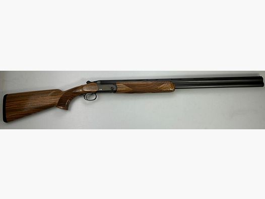 Blaser F16 Game