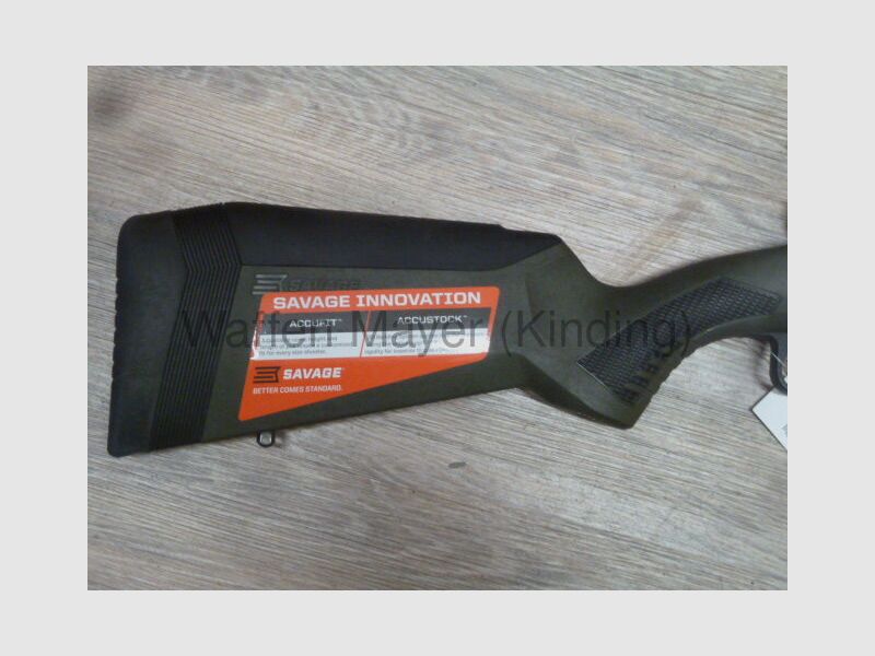 Chasseur de HOG Sauvage