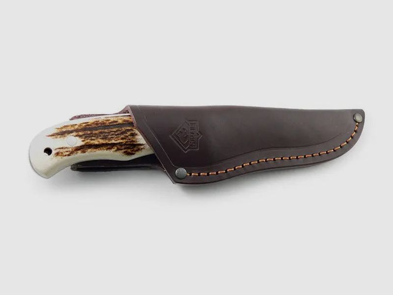 PUMA IP venado, stag