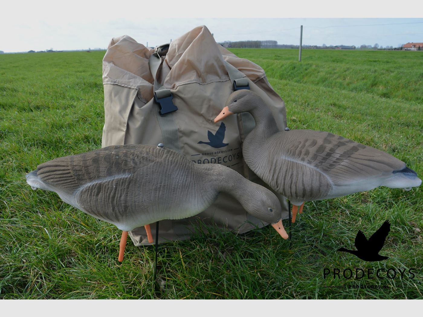 Prodecoys Stampi per oca selvatica maggiore floccati Full Body Ultralight Series – set da 12, immagine 2 di 9