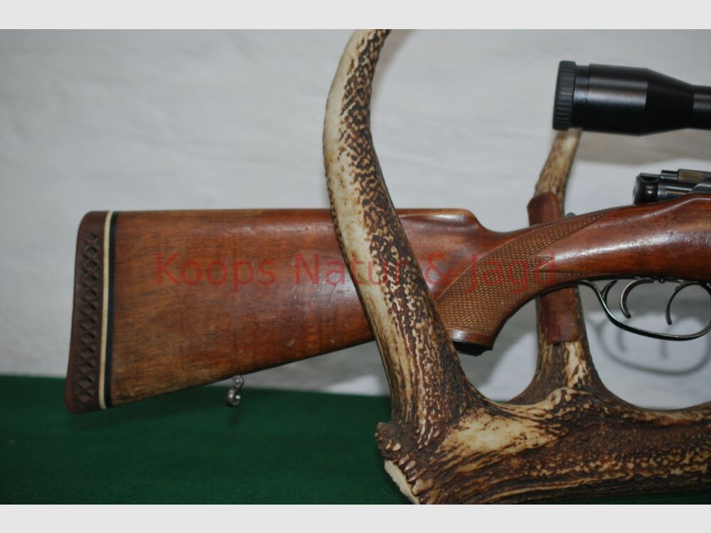Steyr Mannlicher GK