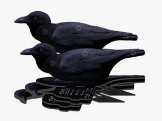 FUD LOCK CUERVO 6 piezas flexible Top Folding Up Decoy de NRA