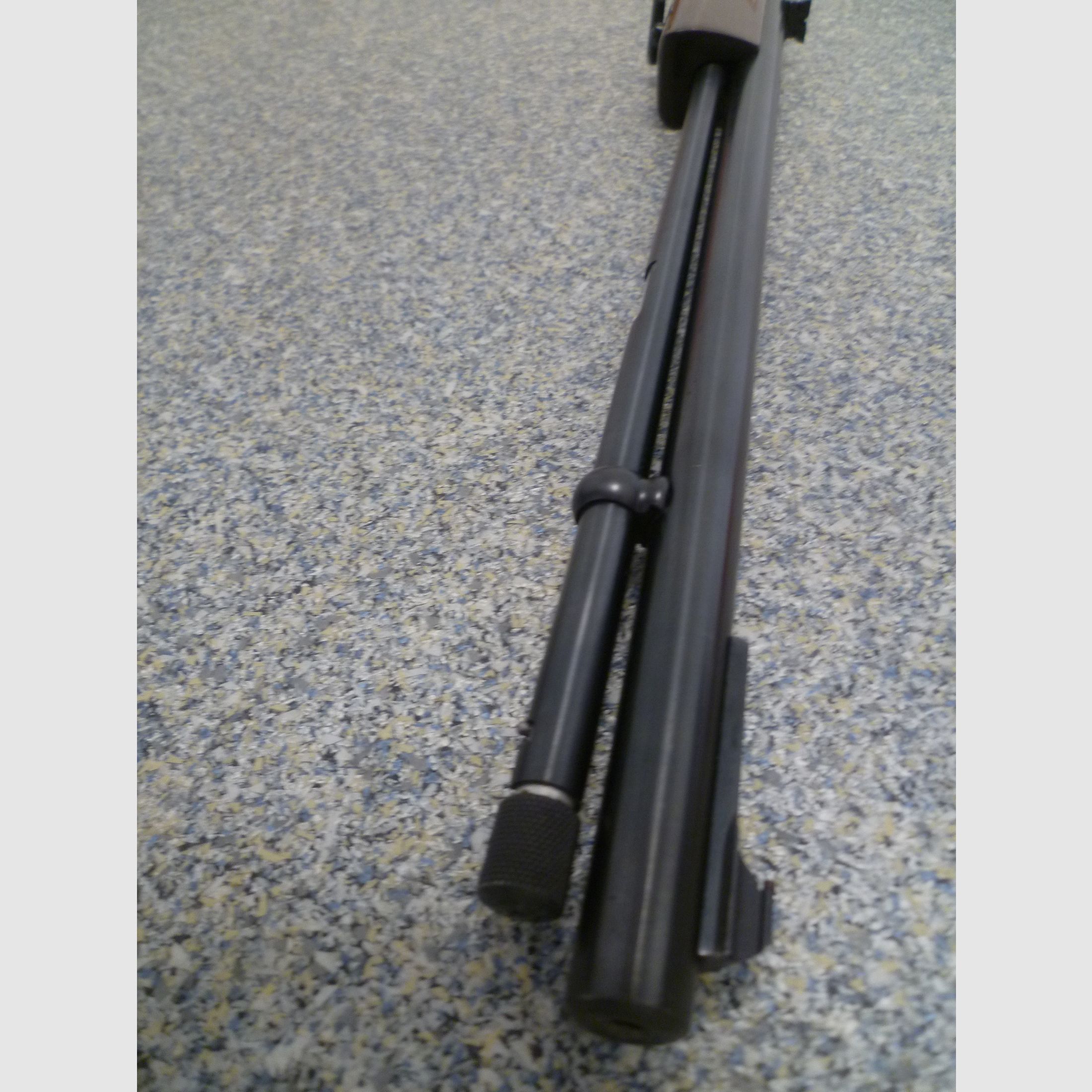 Carabina semiautomática Anschütz - Modelo Savage 6P-M .22lr