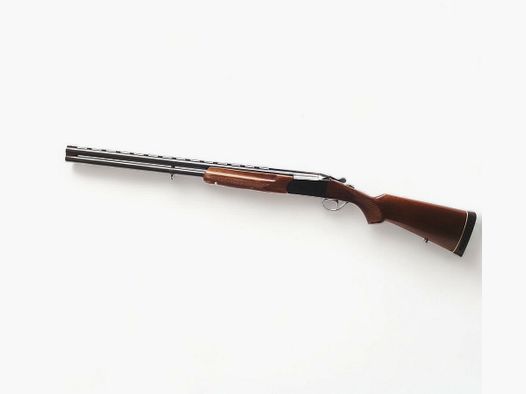Hubertus Boito Brasil