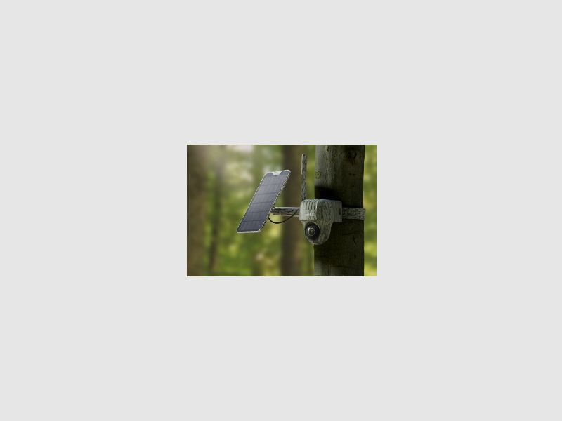 Reolink Go Ranger PT mit Solarpanel 4K 4G LTE Wildlife Camera mit 360 Grad Sicht
