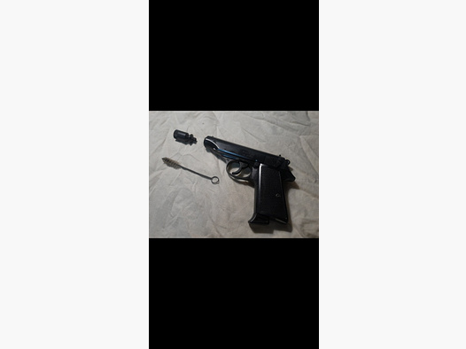 IWG P315  .315