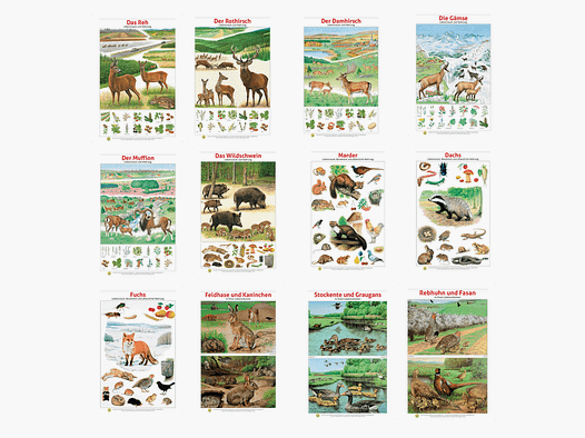 Lernort Natur-Tierposter-Set "Heimische Wildtiere - Lebensraum und Futter"
