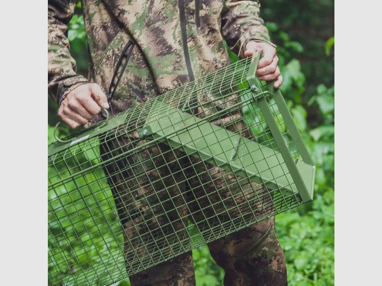 Frankonia piège à capture vivante – porte unique à battants