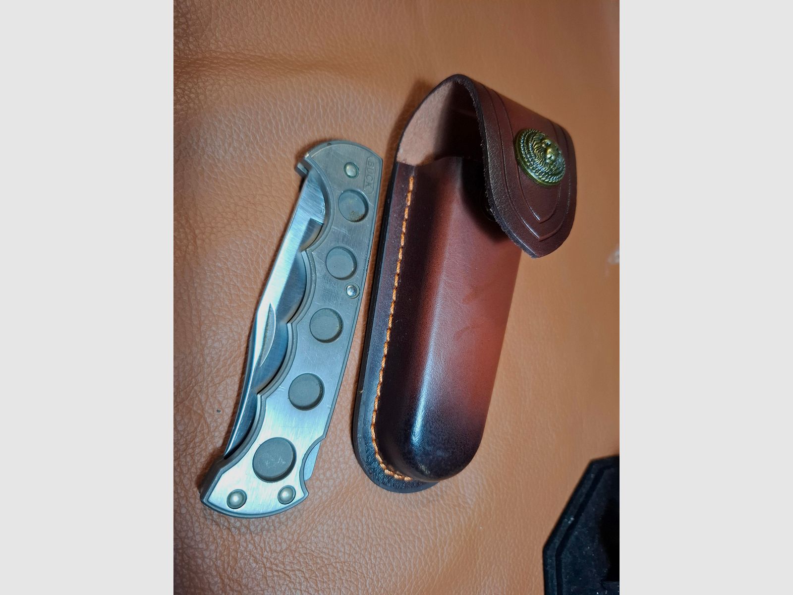 Buck Titanfolder 560X