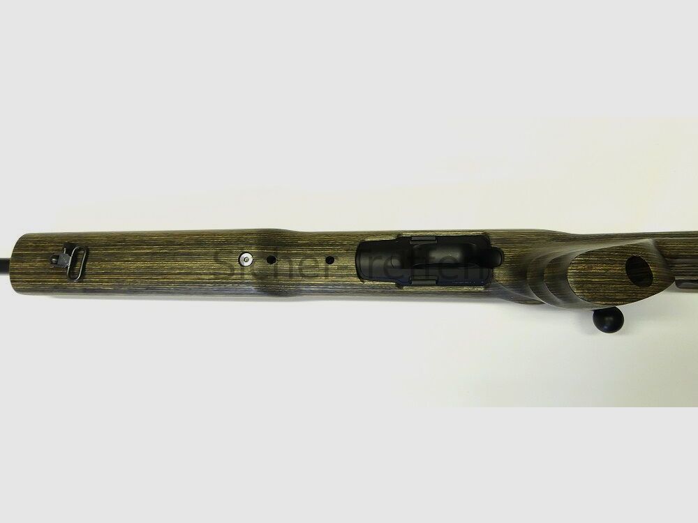 Blaser R8