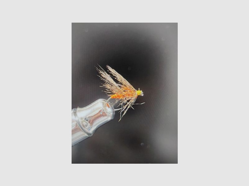 MOSCA SALTONA ESPECIAL DE LEÓN SIN MUERTE, Bild 1 von 8