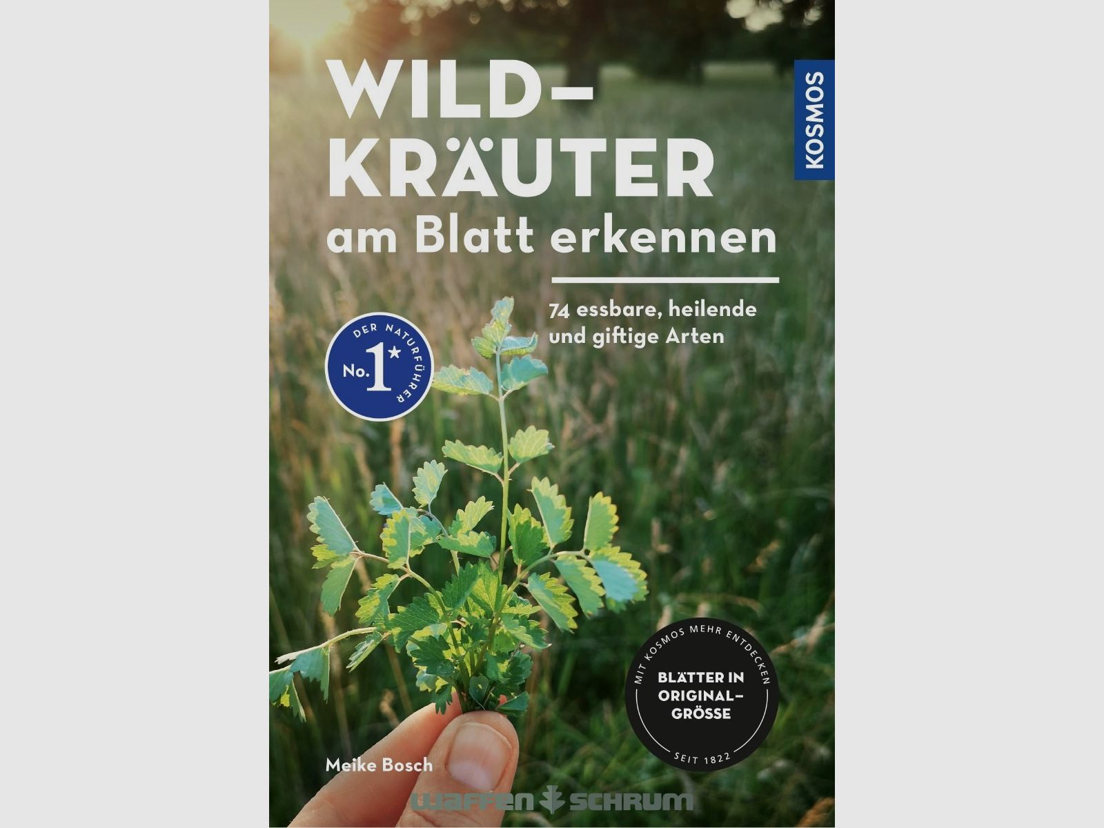 Kosmos Wildkräuter am Blatt erkennen Meike Bosch