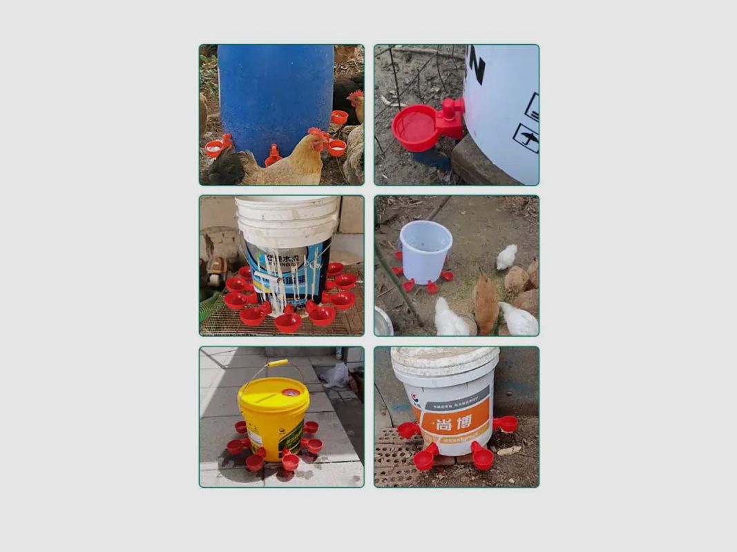 Set di 5 abbeveratoi a ciotola per bidone in plastica rossa per pollame, immagine 1 di 7