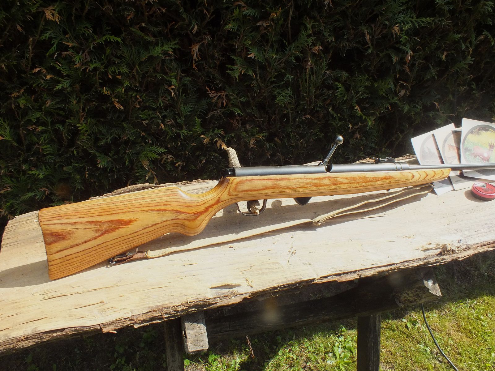 DDR- carabine à air 310-9 avec crosse en bois stratifié. Rare!