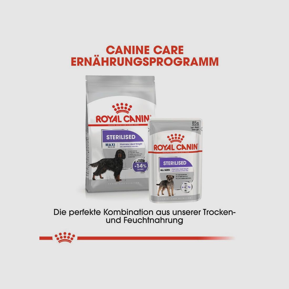 ROYAL CANIN Kastrierte Große Hunde Trockenfutter Sterilised Maxi