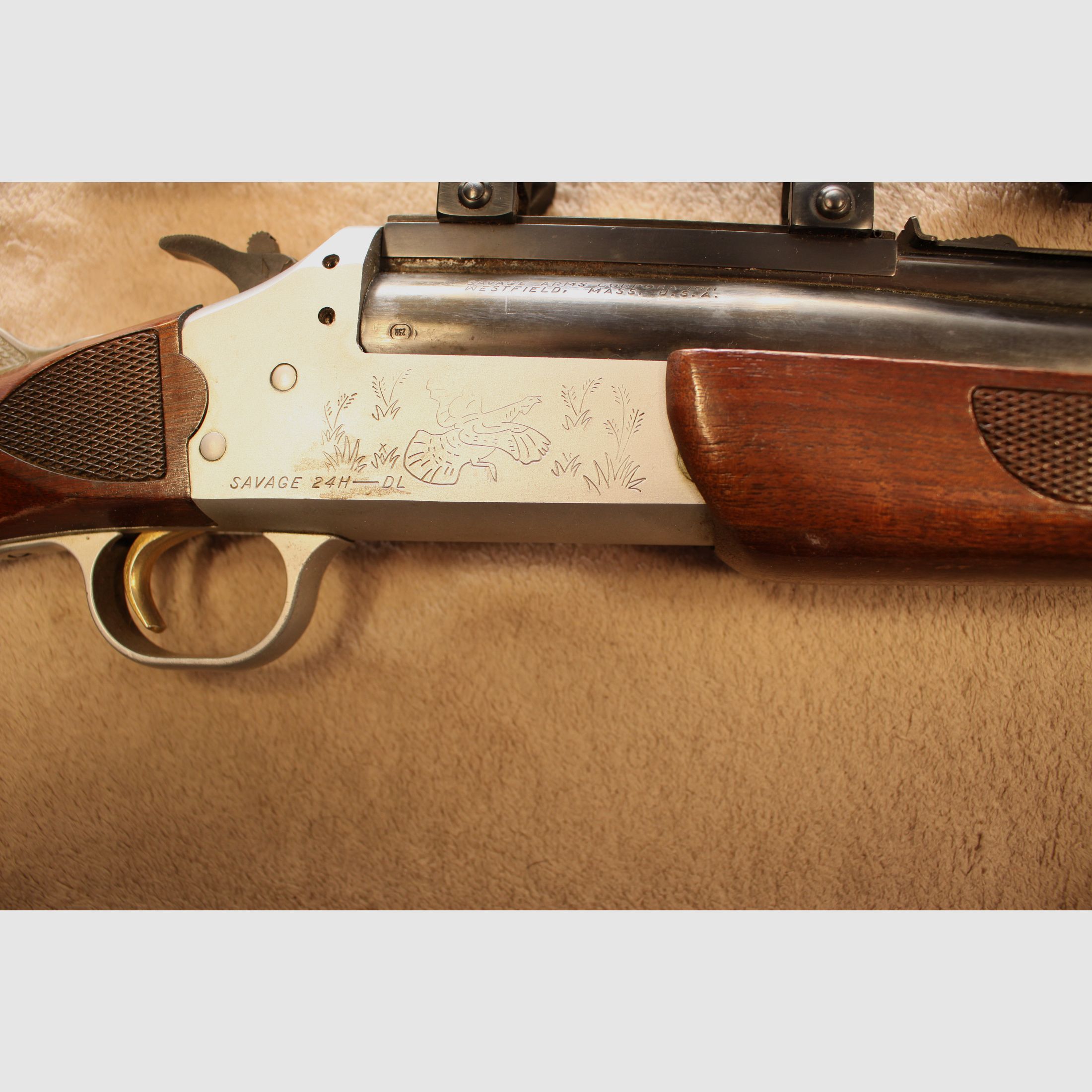 Sachonzeit BBF de Savage.